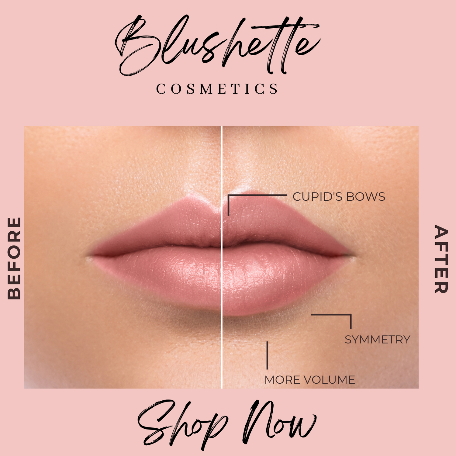 Lip Care & Tints
